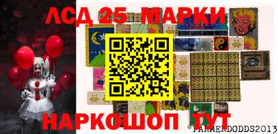 spice Обь