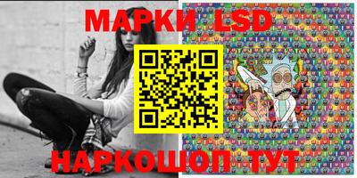 spice Обь