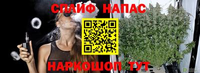 spice Обь