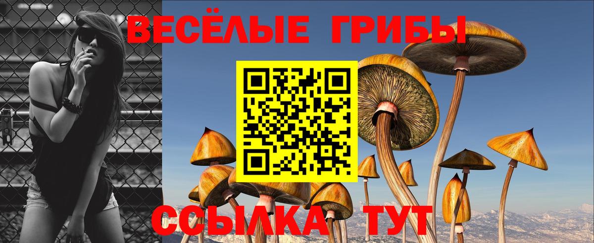 Галлюциногенные грибы ЛСД Улан-Удэ
