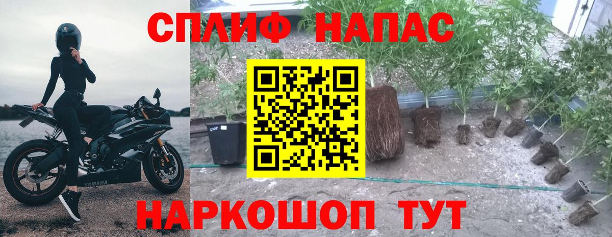 Конопля конопля Улан-Удэ